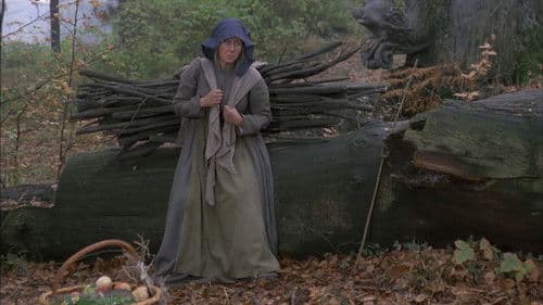 Die Gänsehirtin am Brunnen Bild 2