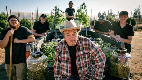 Growing Belushi Bild 3