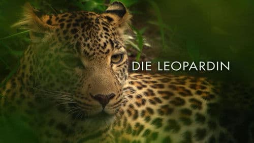 Die Leopardin Bild 1