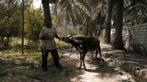 Coming from the east Bild 1