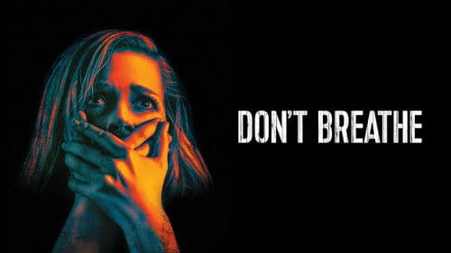 Don't Breathe Bild 4