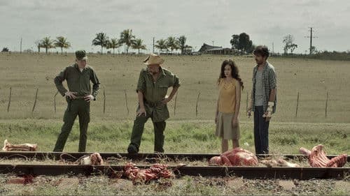 Fenómenos naturales Bild 2