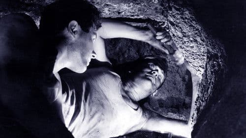 Im Schatten der Zitadelle Bild 2