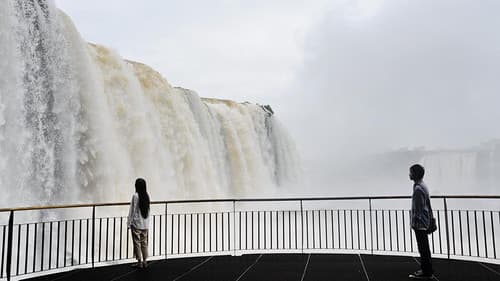 世界から猫が消えたなら Bild 2