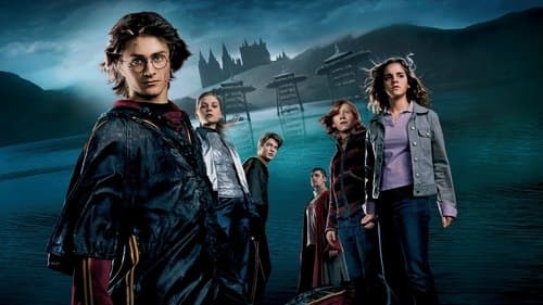 Harry Potter und der Feuerkelch Bild 2