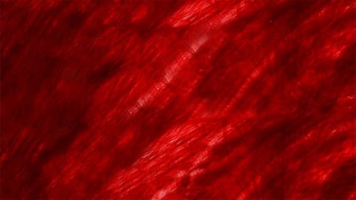 Changing Life - Der Fluch Der Zombies Bild 1