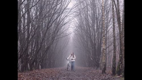 Vergissmeinnicht Bild 1