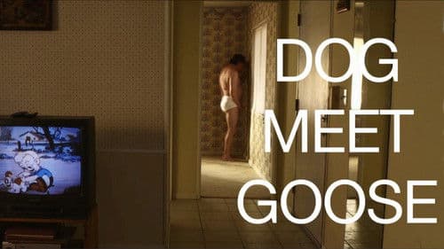 Dog Meet Goose Bild 2