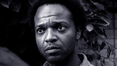 Schafe töten Bild 2