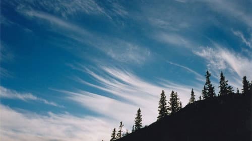 Carpatia - Geschichten aus der Mitte Europas Bild 1