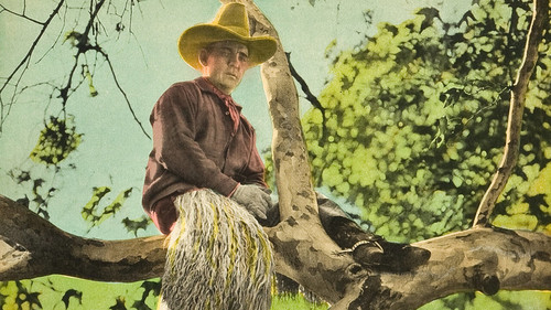 The Gentle Cyclone Bild 1