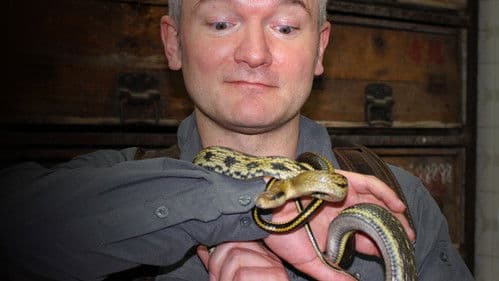 The Witch Doctor Will See You Now Bild 5