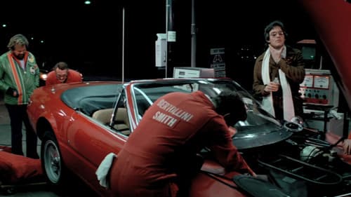 Die verrückteste Rallye der Welt Bild 5