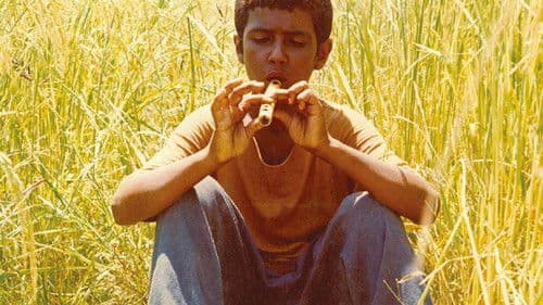 باشو غریبهٔ کوچک Bild 2