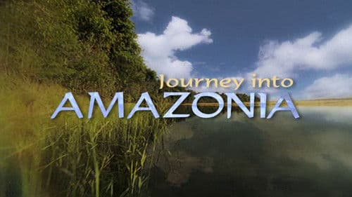 Journey Into Amazonia Bild 1