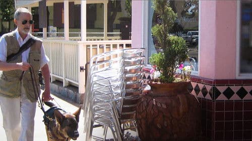 Dark Light: The Art of Blind Photographers Bild 2