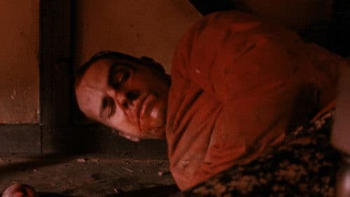 Calvaire - Tortur des Wahnsinns Bild 5