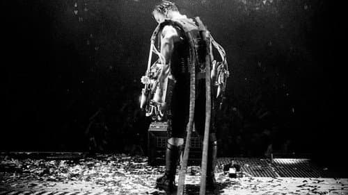 Rammstein - Völkerball Live Bild 6