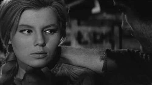 Goldener Farn Bild 2