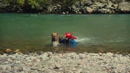 Max - Agent auf vier Pfoten Bild 6