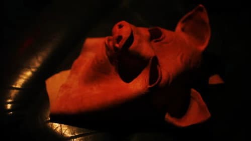Pig Man Bild 1