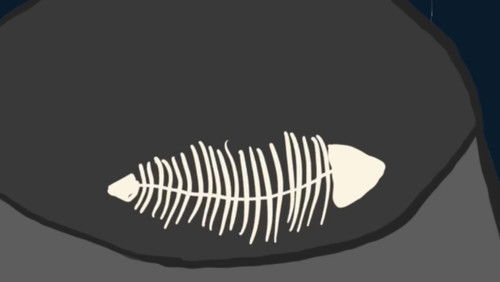 Жовтий кіт з блакитними очима Bild 3