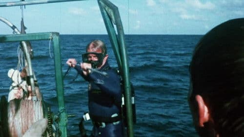 Mako, die Bestie Bild 1