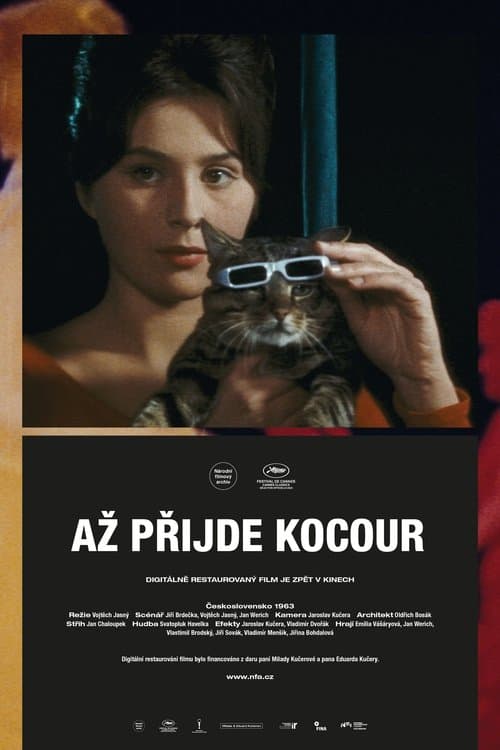 Wenn der Kater kommt