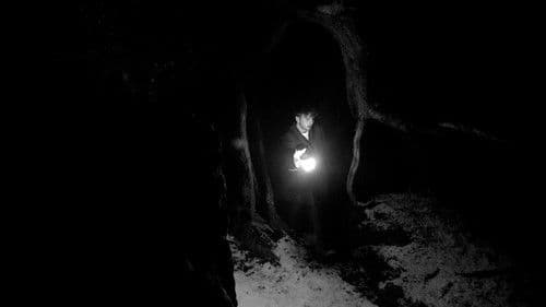 Don’t Leave Me Bild 2