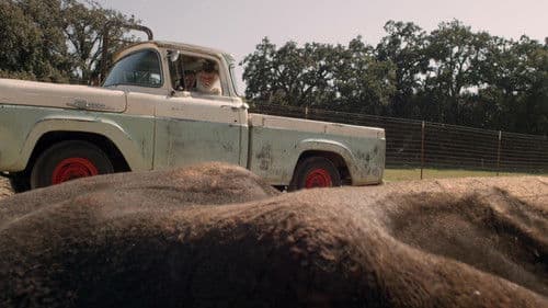 Watch the Sky Bild 2