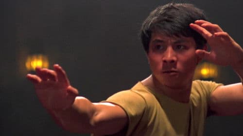 Born to Defense Bild 3