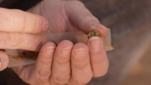 Cannabis, un paradoxe français Bild 1