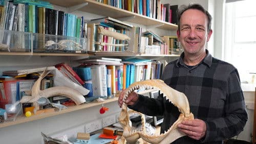 Shark Quest: Hunt For The Apex Predator Bild 6