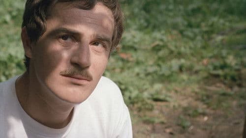 Na samotě u lesa Bild 3