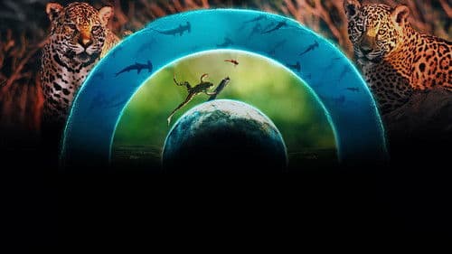 Unsere lebende Welt Bild 2