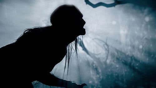 Howl - Endstation Vollmond Bild 3