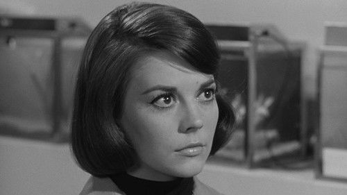 Verliebt in einen Fremden Bild 8