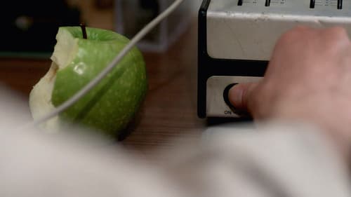 Kulak Misafiri Bild 8