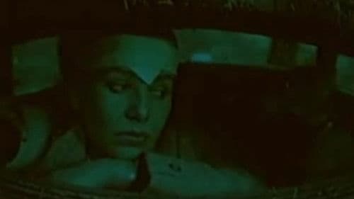 Bilder der Befreiung Bild 2