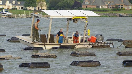 Maryland Farm & Harvest Bild 5