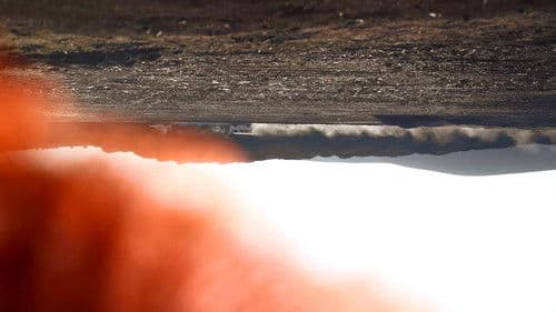 کۆشکی مێروولەکان Bild 1