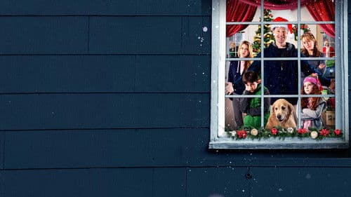 Weihnachten allein zu Haus Bild 5