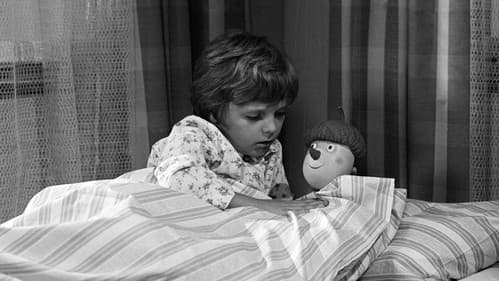 Dubové čarování Bild 3