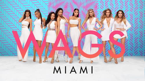 WAGS Miami Bild 5