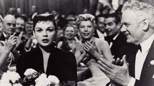 Ein neuer Stern am Himmel Bild 1