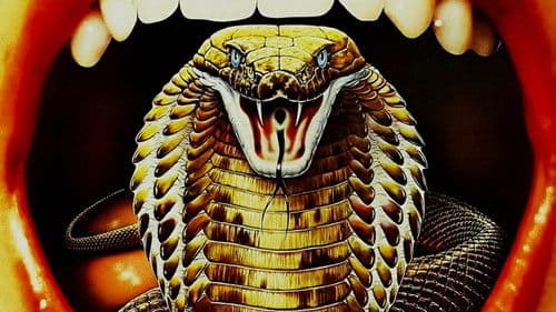 Sssssnake Kobra Bild 2