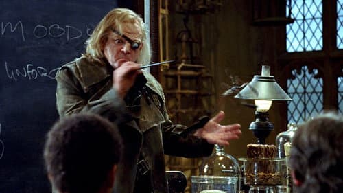 Harry Potter und der Feuerkelch Bild 7