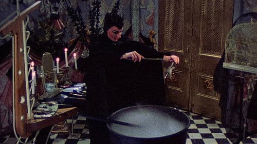 Desperate Living Bild 8