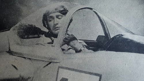 Siegreiche Schwingen Bild 2