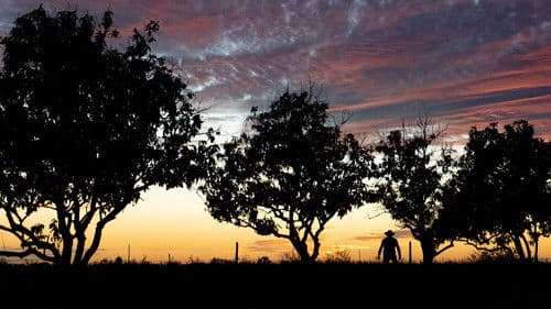 Ese tú que se me escapa Bild 1